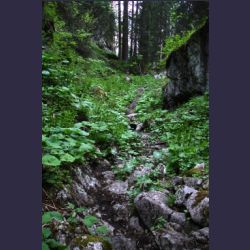 2007-05_09Saletsteig (177).JPG